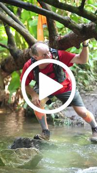 BIB:  <button type="button" onclick="openModal(27499074)" class="btn btn-primary btn-sm float-right" data-toggle="modal" data-target=".modal-high-quality">
                <i class="fa fa-download"></i> Download
                </button>